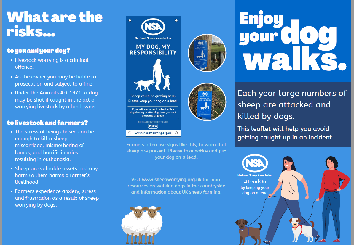 Sheep worrying – Dog Owners guidance