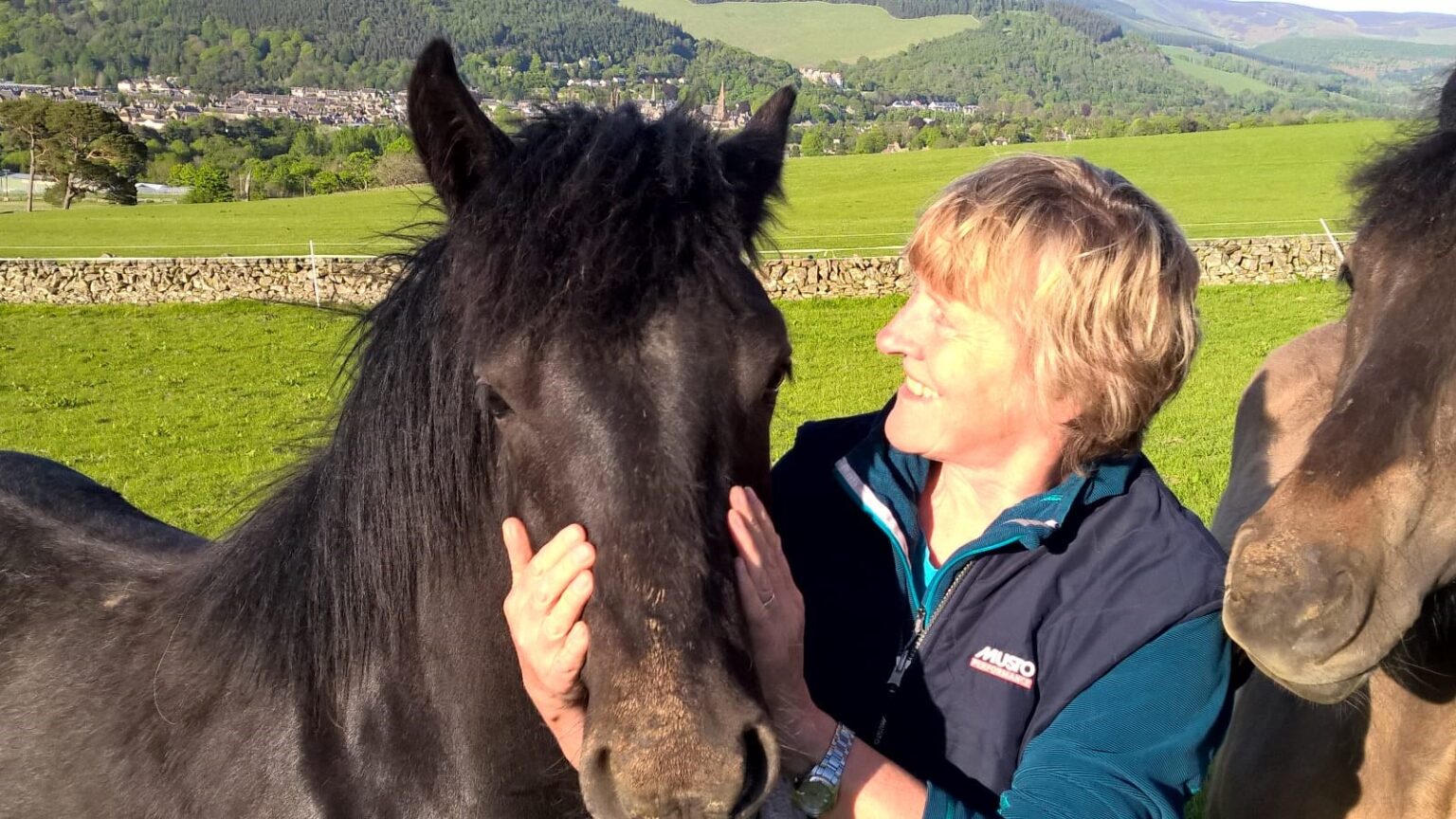Grass sickness at the National Equine Forum