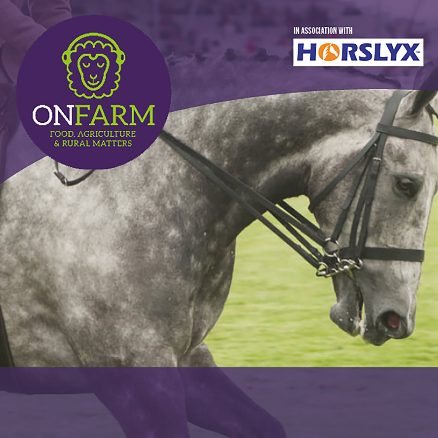 New Podcast launches today: Equine Grass Sickness: updating The Moredun’s search for a cure
