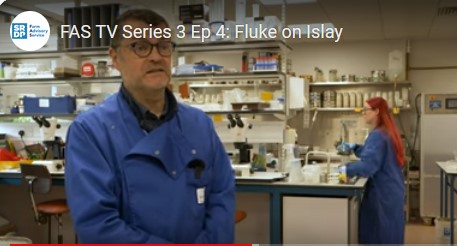 Liver fluke study on Islay