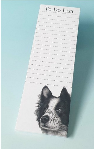 magnetic pad with n image of a collie dog