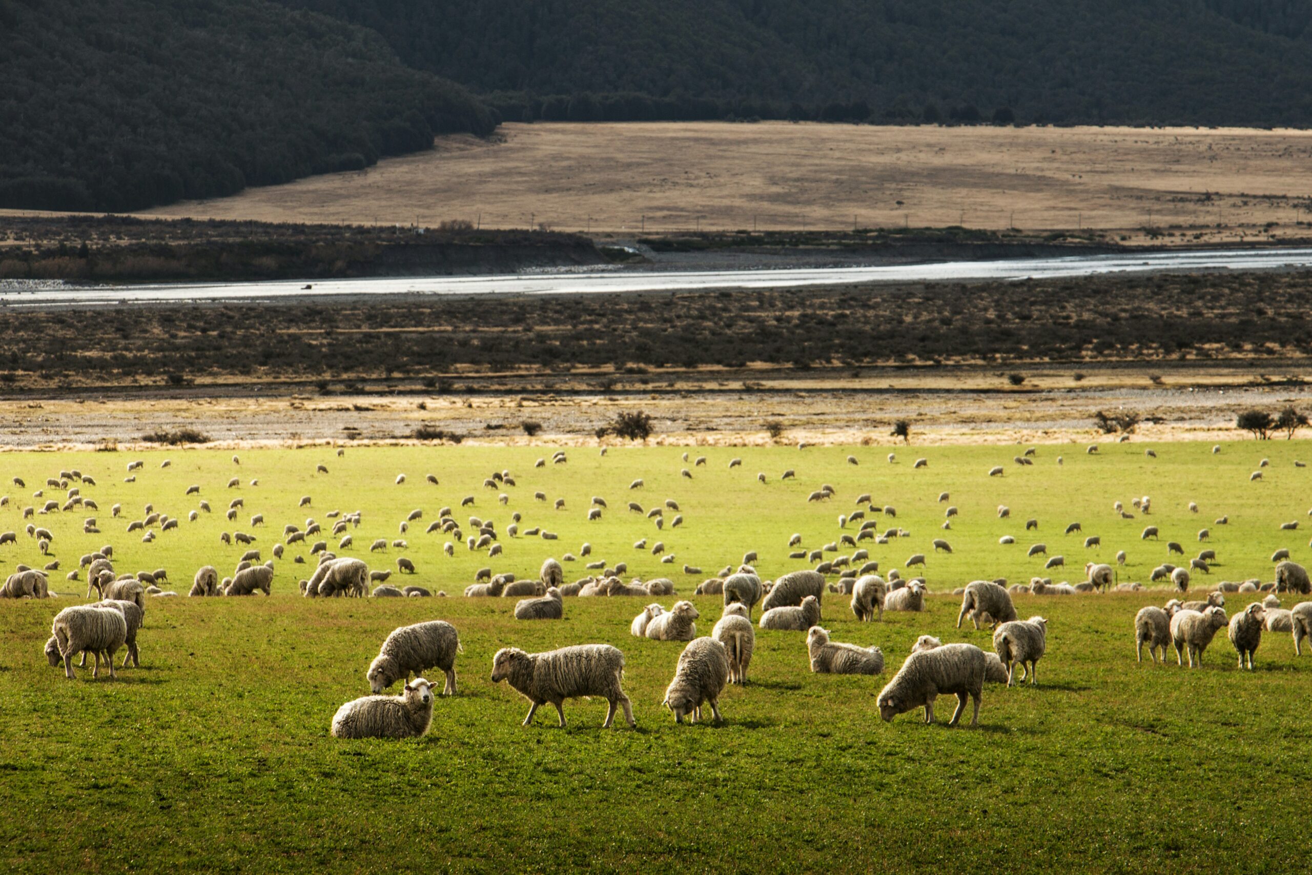 Scottish farmers sought to aid OPA pilot project