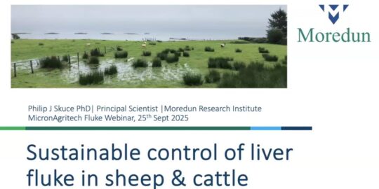 Sustainable Control of Liver Fluke Webinar with Dr Philip Skuce Cover