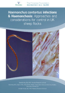Haemonchus contortus infections & Haemonchosis May 2025 Cover