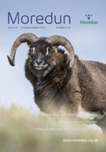 Moredun Magazine #29 – Spring/Summer 2025 Cover