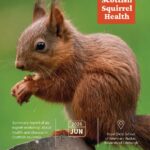 Scottish Squirrel Health Summary report cover