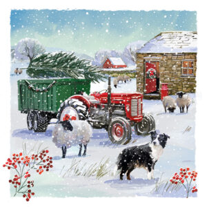 New Christmas card - Watching the flock