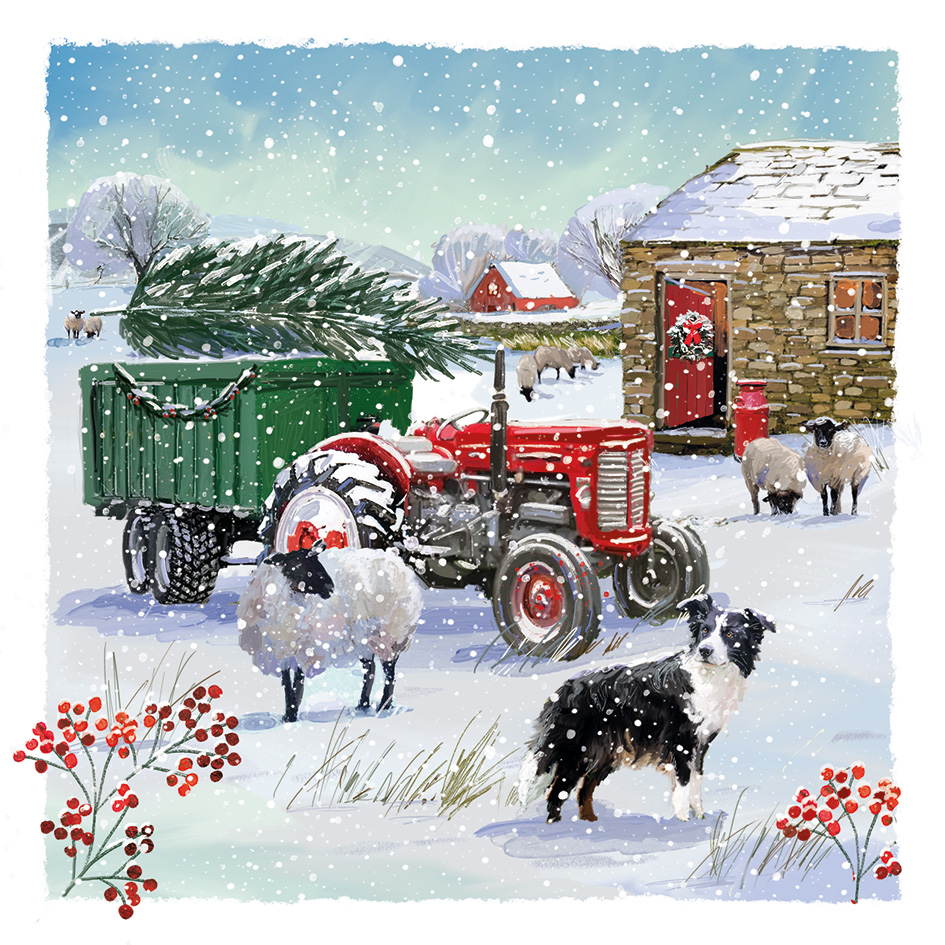 New Christmas card - Watching the flock