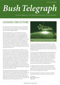 Front cover of Bush Telegraph Issue 54