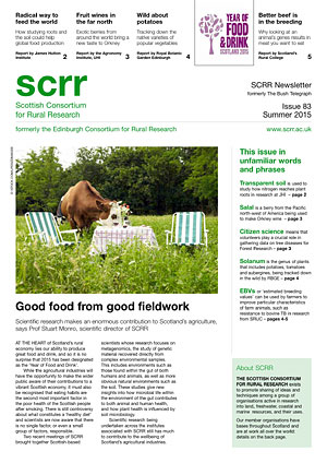 Front cover of SCRR News Issue 83